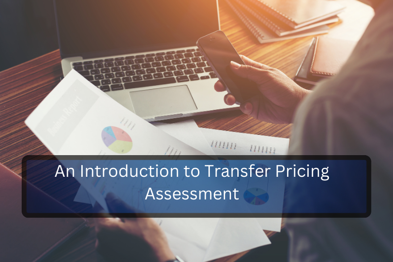 transfer pricing assessment services.